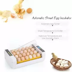 24 Eggs Dual Power Supply Turning Incubators Digital Poultry Chicken Hatcher