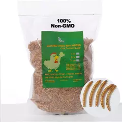 High Protein Non-GMO Dried Mealworms - 5LB Natural Large Size Snack