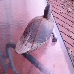 Hand Carved Wooden Duck Decoy