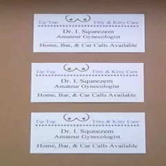 (15 Pack) Funny Joke Business Cards, Tip Top Titty & Kitty Care, Dr. I. Squeezem