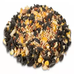 Royal Wing 13679 Pet Supplies 9 Pounds Birdwatchers Banquet Wild Bird Food