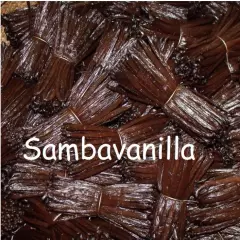 10 NEW MADAGASCAN BOURBON VANILLA BEANS-PODS Grade A