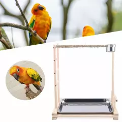 Free Standing Wood Parrot Tree Bird Stand Rack Hanging Cage Perch+2 Food Cups US