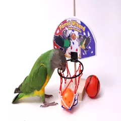 Birdie Basketball - Teach Your Parrot to Play Basketball Trick Training Toy