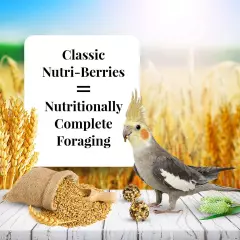 Nutriberries Original Cockatiel 2 pk 10 oz