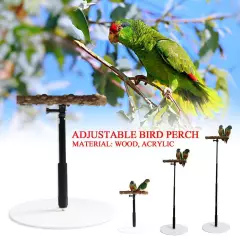 Stable Bird Parrot Training Exercise Adjustable Playstand Cage DD