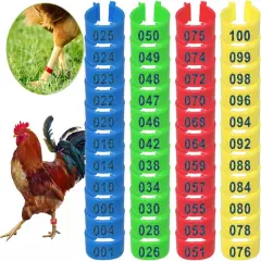 200 Pcs Chicken Leg Bands 16mm, Multiple Diameter Blue Yellow Red Green 