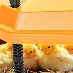 Coop Chick Brooder Heating Plate Brooder Heat Plate Warms Up to 15 Chicks - B...