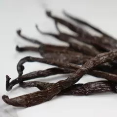 10 Fresh Madagascar Organic Grade A Bourbon Vanilla Beans [Whole]