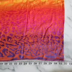 Pashmina Skarf Shawl Wrap Rainbow Animal Print Ombre Tassels 100% Pashmina 27×63