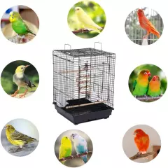 Open Play Top Travel Bird Cage for Conure Sun Parakeet Green Cheek Conure Lovebi