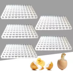 5*Egg Hatching Incubator Trays Chicken Quail Pheasant Duck 88 Egg Plastic Holder