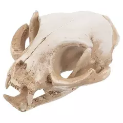  Halloween Animal Scary Skeleton Props Resin Cat Skull Model Figurine Aquarium 