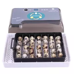 12 Eggs Fully Automatic Temperature Incubator Digital Poultry Chicken Duck Lamp