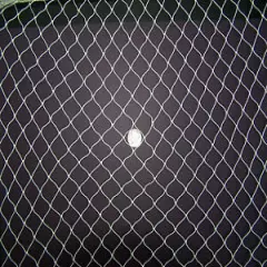 100' x 12' Baby Quail / Blue Berry Net 3/8" #139 Break/Point 35/140 Lbs Per Mesh