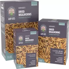 Dried Mealworms Non-Gmo High Protein Fiber Treat Chickens Birds Reptiles Fish