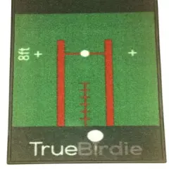 Indoor Putting Green and Golf Mat with Putt Alignment and Cup (10ft x 16in)