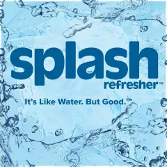 Splash Refresher Lemon Flavored Water 16.9 Fl Oz Plastic Bottle Pack of 6