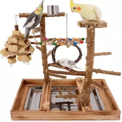 Bird Playground Natural Wood Perch Stand Parrot Parakeet Toys Perches Platform