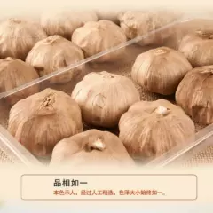 500g Organic Fermented Black Garlic 120 Days Regulate Blood Sugar Balance12 Pcs