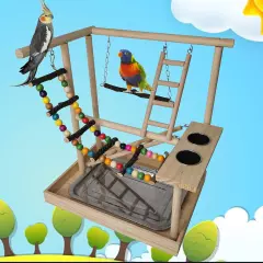 Parrots Playground, Bird Play Gym Wood Perch Stand Colours Climb Ladders Swing C