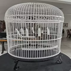 White and black bird cage