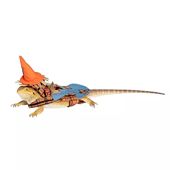 Thrills & Chills Bearded Dragon Reptile Holiday Halloween Costume Clothes Accessory Funny Cute Scarecrow