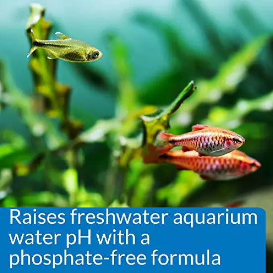 API pH UP pH adjuster, Raises freshwater aquarium water pH to the level your fish need to thrive, Test water weekly and use to correct pH level