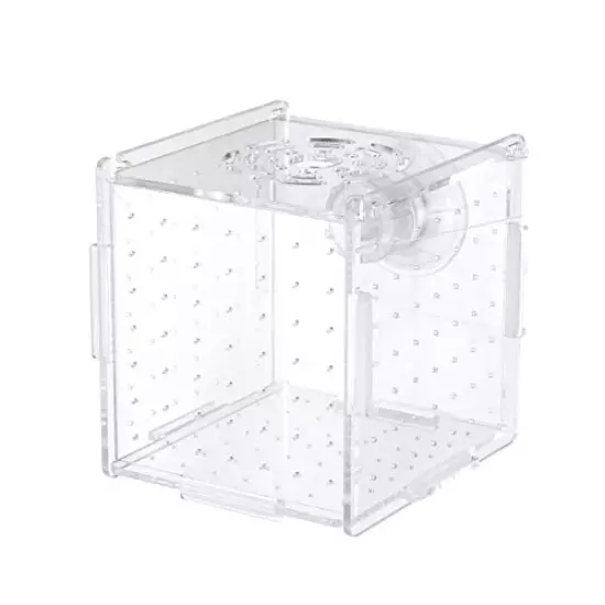 POPETPOP Fish Breeding Box-Isolation Box Breeder Hatchery Incubator Aquarium Fish Breeding Boxes Divider Hatching Boxes Accessory for Small Baby Fishes Shrimp Clownfish Guppy-Small Suction Cup