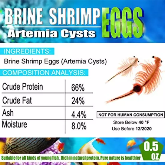 Brine Shrimp Eggs for Aquatic Foods Baby & Fry Foods The Popular 90% Hatch GSL Brine Shrimp Eggs