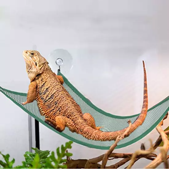 ADOGGYGO Bearded Dragon Lizard Hammock Reptile Hammock Lounger Ladder Bearded Dragon Hammock Accessories For Bearded Dragons Geckos Lizards Reptile Green