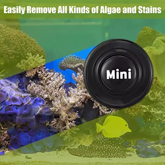 Cunhill 2 Pieces Mini Aquarium Glass Cleaner Magnetic Algae Scraper Magnetic Glass Cleaner No Scratch Magnet Fish Tank Glass Cleaner Magnetic Brush for Small Fish Tank Glass and Acrylic Aquarium