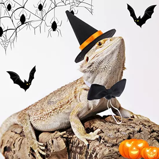 6 Pcs Bearded Dragon Halloween Costume Set-Hamster Witch Hats Halloween Lizard Bowtie and Grey Pet Hat for Hamster Lizard Reptile Cosplay Outfit Party Decoration Accessories