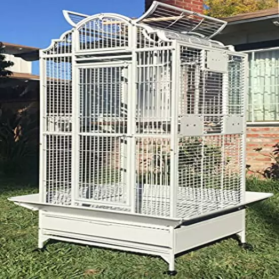 Large Elegance and Durable Wrought Iron Open Play Top Stand Bird Parrot Rolling Cage, Include Metal Seed Guard Solid Metal Feeder Nest Door