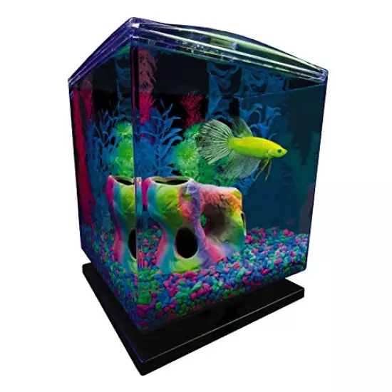 GloFish Aquarium Kit w/Hood, LED Lights and Whisper Filter