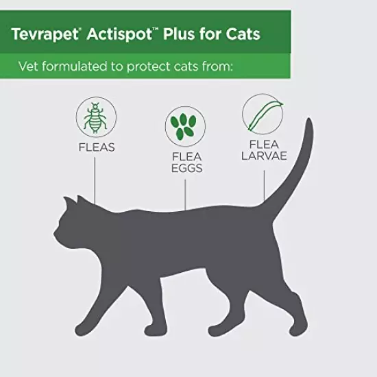 TevraPet Actispot II Flea Treatment for Cats | 6 Monthly Doses | Powerful Prevention and Control