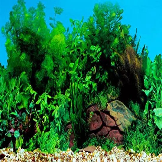 ELEBOX New 20" x 48" Fish Tank Background 2 Sided River Bed & Lake Background Aquarium