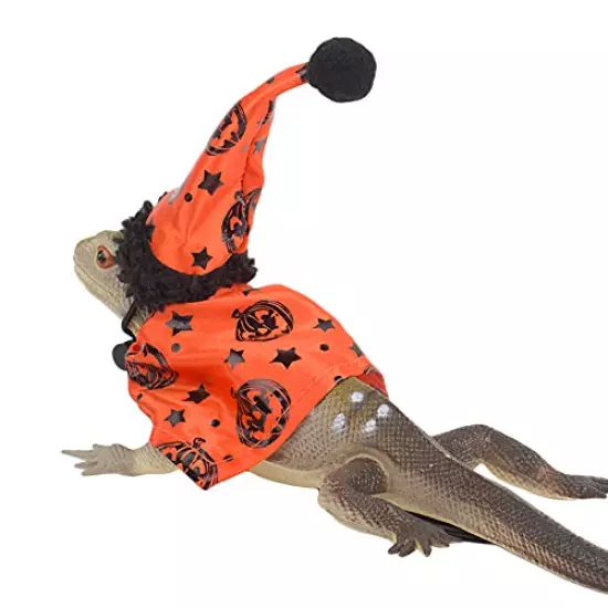 ADOGGYGO Bearded Dragon Halloween Hat Cloak Lizard Christmas Hat Scarf Set, Small Animal Halloween Christmas Festival Costume