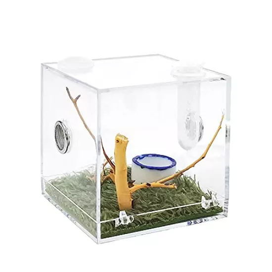 Acrylic Critter Keeper Jumping Spider Enclosure Snail Container House Accessories Reptile Terrarium Insect Enclosure Tank Snail Spider Habitat Cage Reptile Isopods Lizards Roach Feeding Box