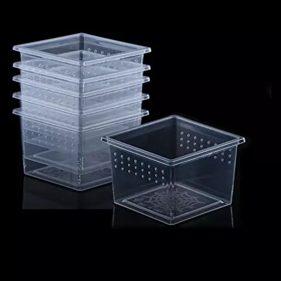 10 Pcs Insect Spider Terrariums Breeding Box Hatching Container Small Reptile Scorpion Centipede Acrylic Breeding Box (Small Size)