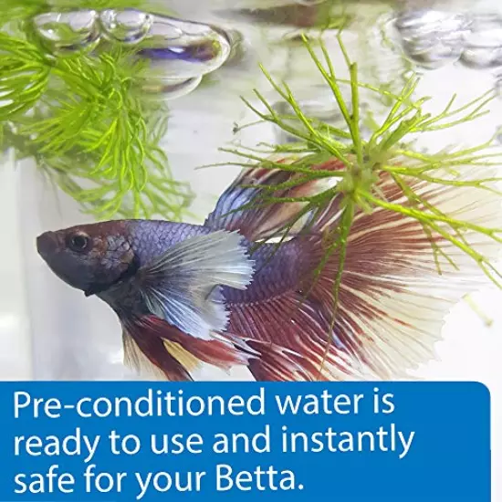 API Betta Fish Food