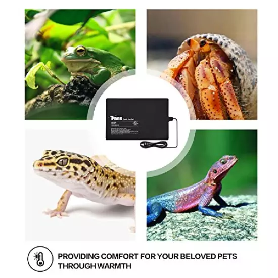 IPower Reptile Heat Pad 4W/8W/16W/24W Under Tank Terrarium Warmer Heating Mat And Digital Thermostat Controller For Turtles Lizards Frogs And Other Small Animals, Multi Sizes