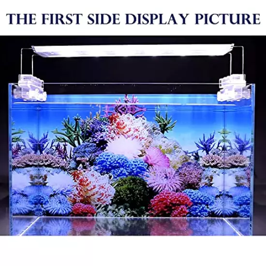 ELEBOX New 20" x 48" Fish Tank Background 2 Sided River Bed & Lake Background Aquarium