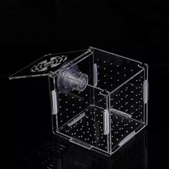 POPETPOP Fish Breeding Box-Isolation Box Breeder Hatchery Incubator Aquarium Fish Breeding Boxes Divider Hatching Boxes Accessory for Small Baby Fishes Shrimp Clownfish Guppy-Small Suction Cup