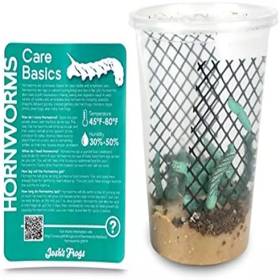 Josh's Frogs Hornworms Habitat Cups Large