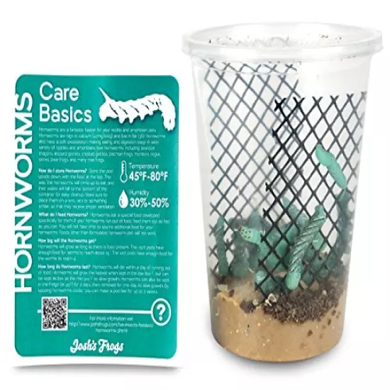 Josh's Frogs Hornworms Habitat Cups Large