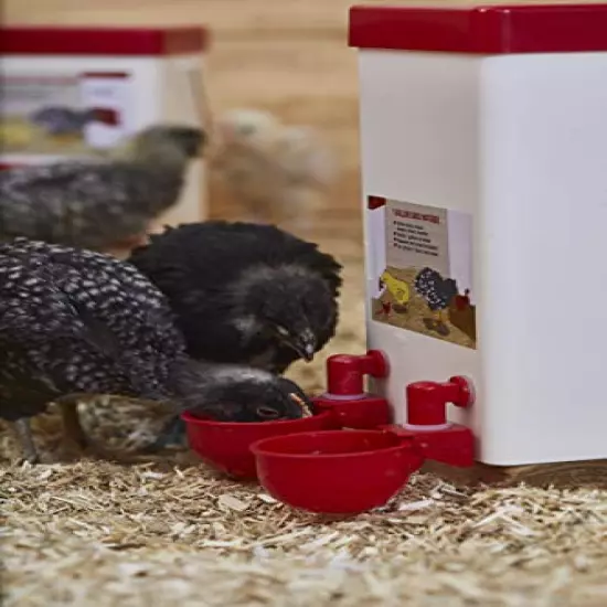 Small Cage Waterer- 1 Gallon Capacity for Chicks/Quails/Pigeons/Gamebirds