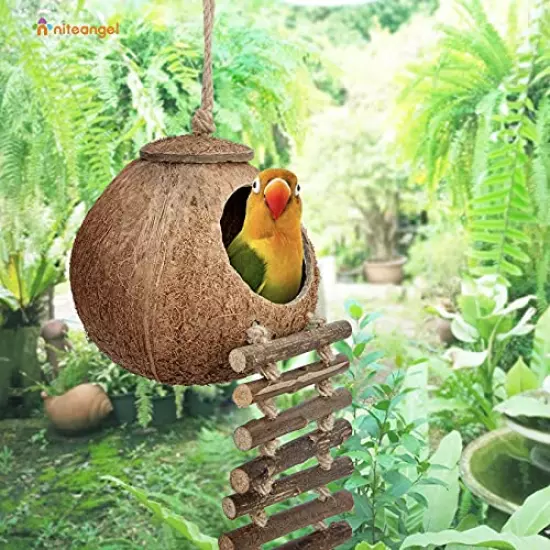 Niteangel 100% Natural Coconut Hideaway with Ladder, Bird and Small Animal Toy