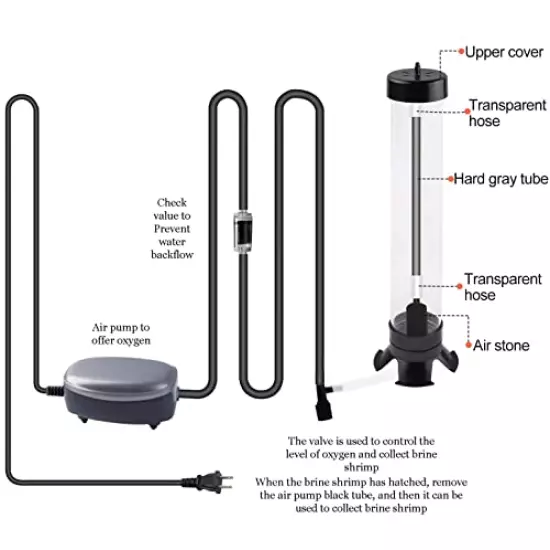 Brine Shrimp Hatchery Kits brine Shrimp Eggs Incubator Hatchery brine Shrimp Eggs Incubator Artemia Hatchery with Silver air Pump