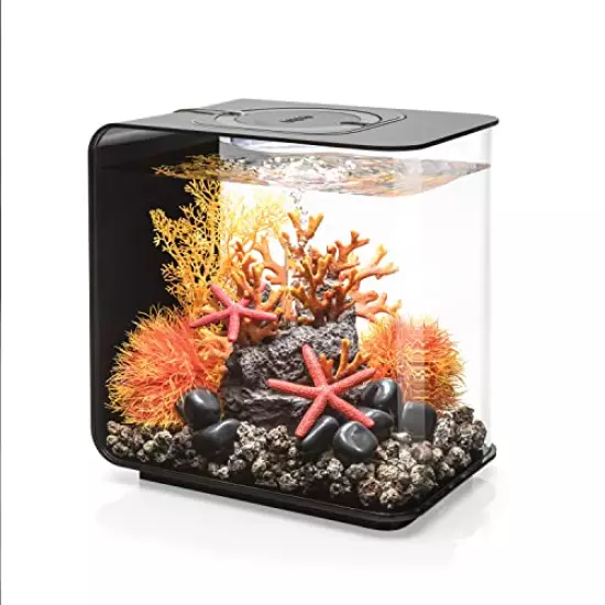 biOrb Flow Aquarium